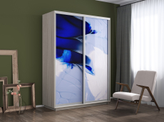 Шкафы-купе, Шкаф-купе Экспресс 1010, 160х45х220