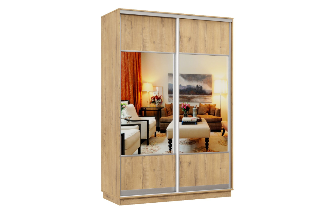 Шкафы-купе, Шкаф-купе Премьер Лайт 10 (05;05) двухдверный