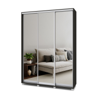 Шкафы-купе, Шкаф-купе 3-дв  Роланд Р463  (в2200*ш1600*г450)