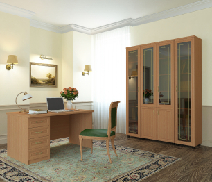 Кабинет-библиотека  ПРЕМЬЕР-2