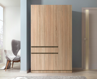 Шкаф распашной Сура 1200