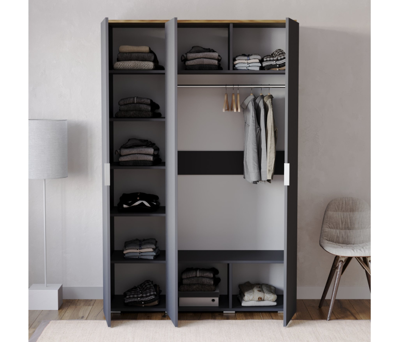 Шкафы распашные, Шкаф распашной Ингрия 7