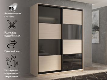 Шкаф-купе 2х дверный Кааппи 13 120х60