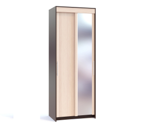 Шкаф-купе с зеркалом Контур ШР-96.2