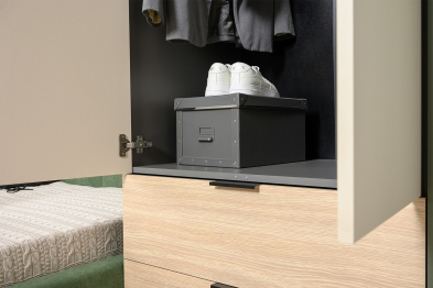 Шкаф Марвэл 16.317.02