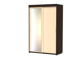 Шкафы-купе, Шкаф-купе шк-18 двух дверный с зеркалом