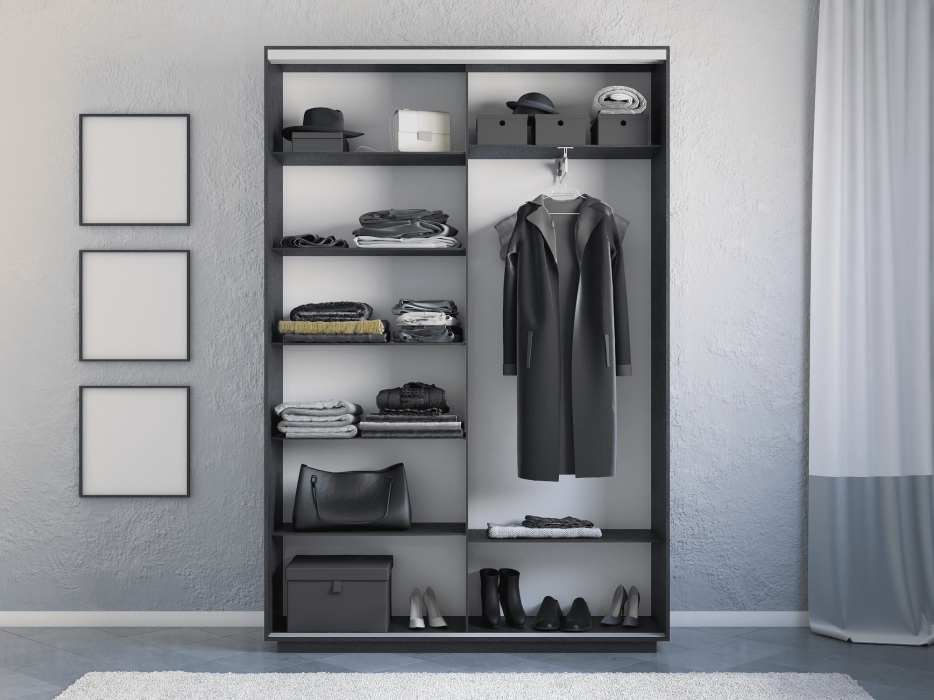 Шкафы-купе 2-х дверные, Шкаф-купе Экспресс 2-х дверный Фотопечать Ленты Стекла 120х45х240