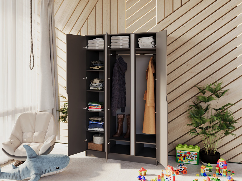 Шкафы распашные, Шкаф распашной Монс 3, 170x230x55