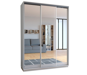 Шкаф-купе 3-х дверный Бристоль 451.03