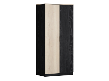 Шкаф для одежды ДЕЛЬТА Лофт 13.02