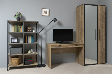 Шкаф с зеркалом Трувор 13.204.01