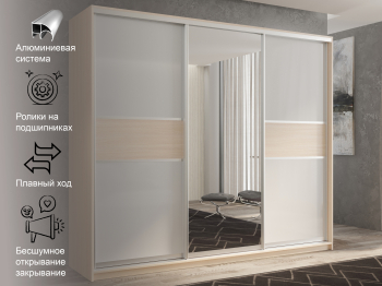 Шкаф-купе 3х дверный Кааппи 10 240х45