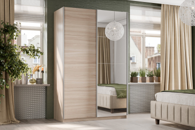 Шкаф-купе Smart 1222 2х дверный (фасады ЛДСП,зеркало) профиль серебро