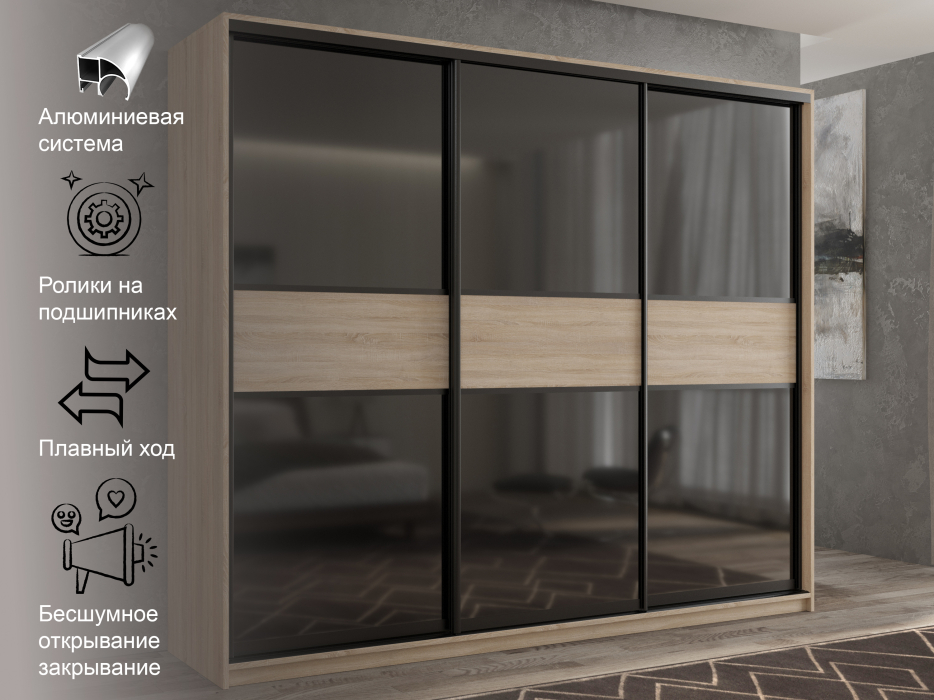 Шкафы-купе 3-х дверные, Шкаф-купе 3х дверный Кааппи 12 240х45