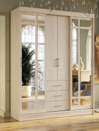 Шкаф-купе Маэстро