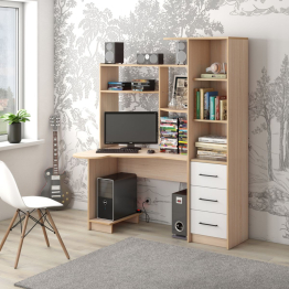 Стол компьютерный Шагус-4