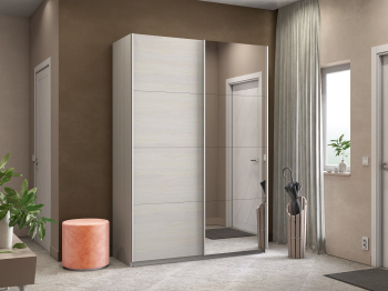 Шкаф-купе Прайм 2-х дверный ДСП/Зеркало/Доводчики 120х57х230