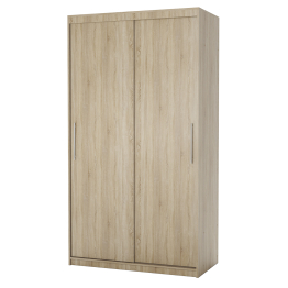 Шкаф-купе 2-х дверный Эконом 100х60х200