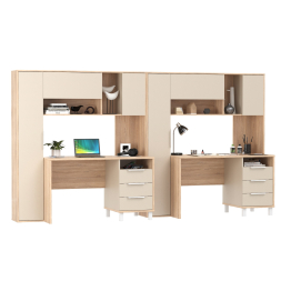 Столы рабочие для домашнего офиса для двоих детей Комфорт 12.95N