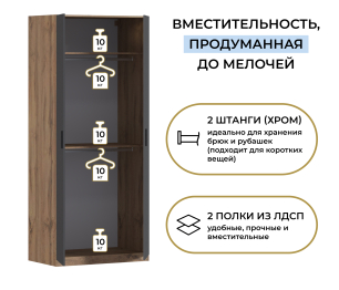 Шкаф двухдверный Макс 1000 мм, вариант №4 (ЛДСП, корпус дуб вотан)