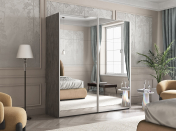 Шкаф-купе Эста Зеркало+Зеркало 200х66х240