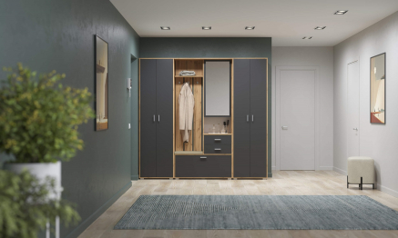 Шкаф для прихожей Антре 65.08