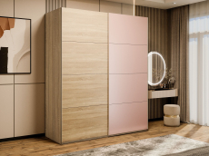 Шкафы-купе 2-х дверные, Шкаф-купе Эста 2-х дверный ДСП/Стекла пудра/Доводчик 200х66х240