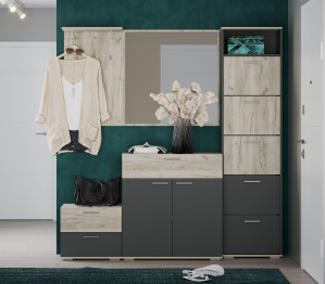 Прихожая Санти №6