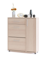 Обувницы, Обувница ТП-4