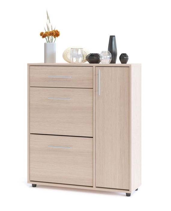 Обувницы, Обувница ТП-4