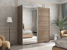 Шкафы-купе 2-х дверные, Шкаф-купе Эста ДСП+Зеркало 200х66х240