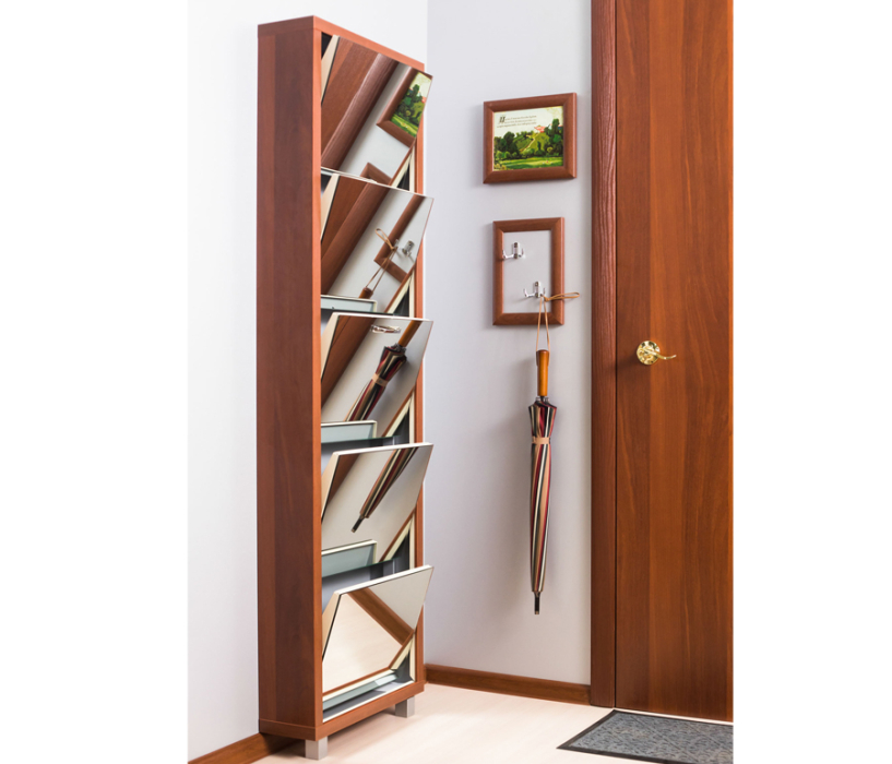 Обувницы, Шкаф обувной люкс зеркало