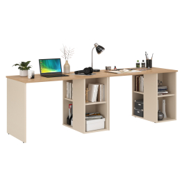 Два письменных стола Лайт 12.163