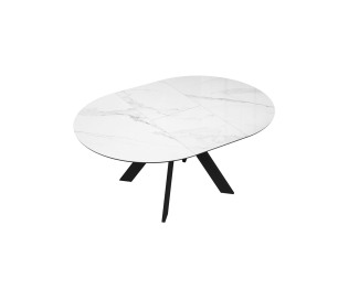 Стол DikLine SFC110