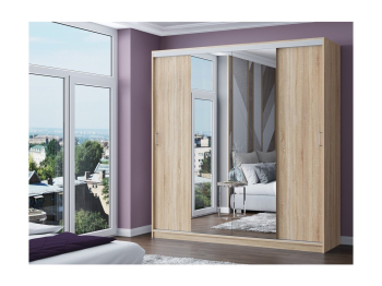 Шкаф-купе Альянс-3 ЛДСП