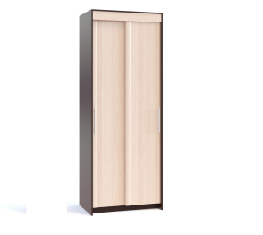 Шкаф-купе Контур ШР-96.2