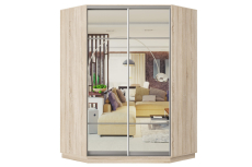 Угловые шкафы, Шкаф-купе Премьер Лайт 71 угловой (11;11) двухдверный