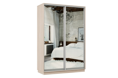 Шкаф-купе Премьер Лайт 04 (01;01) двухдверный