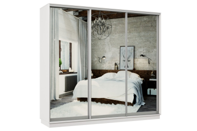 Шкаф-купе Премьер 60 белый