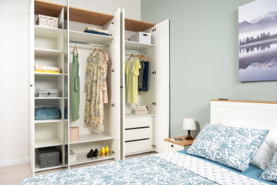 Шкаф для одежды Остин 13.336.03