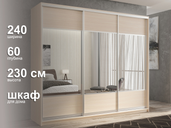 Шкаф-купе 3х дверный Кааппи 6 240х60