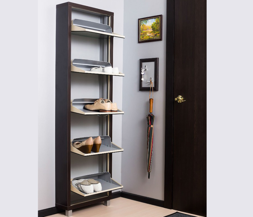 Обувницы, Шкаф обувной люкс зеркало