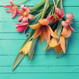 Интерьерная панель из стекла 500*600*6 мм MGF56_лилии