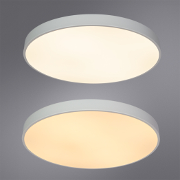 Потолочный светильник ARENA 60см