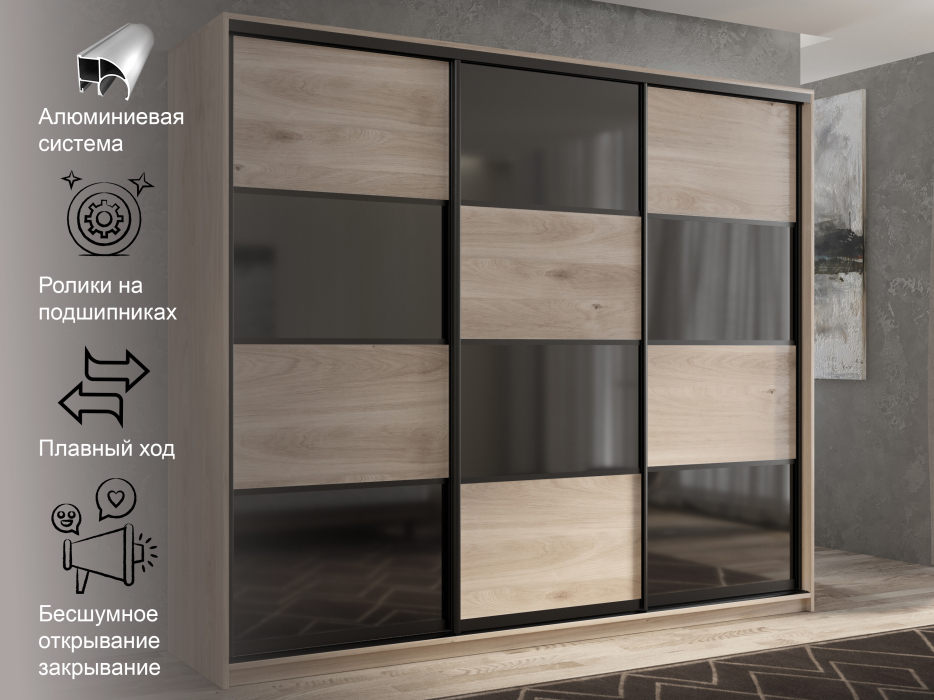 Шкафы-купе 3-х дверные, Шкаф-купе 3х дверный Кааппи 13 210х60