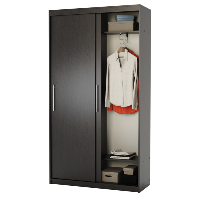 Шкафы-купе 2-х дверные, Шкаф-купе 2-х дверный Эконом платяной 100х45х200