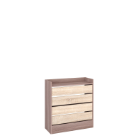 Обувницы, Обувница Ямайка ЯПТ-3