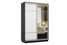 Шкафы-купе, Шкаф-купе Премьер Лайт 03 (08;11) двухдверный