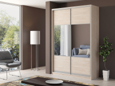 Шкафы-купе, Шкаф купе 2-х дверный Айсберг 160 комбинированный