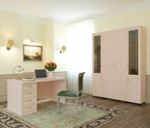 Кабинет-библиотека  ПРЕМЬЕР-1